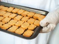 Crispy garlic bread glazed with sweet garlic sauce Royalty Free Stock Photo