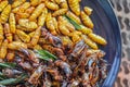 Crispy insects are served in black ceramic plates placed on tables made of steel grates, and fried insects are a popular food Royalty Free Stock Photo