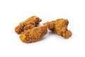 Crispy Kentucky fried chicken Royalty Free Stock Photo