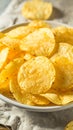 Crispy Kettle Cooked Potato Chips with Seasoning in a Bowl Royalty Free Stock Photo