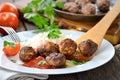 Crispy meatballs