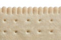 Crispy petit-beurre biscuit Royalty Free Stock Photo