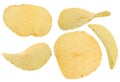 Crispy potato chip isolated