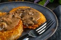 Crispy potato pancakes with mushroom sauce Royalty Free Stock Photo