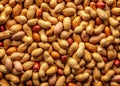 Crispy Roasted Peanut Kernels A Panoramic CloseUp Feast for the Eyes Royalty Free Stock Photo