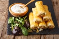 Crispy rolls borek with minced meat and eggs close-up on the tab