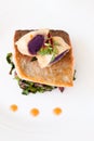 Crispy Seared Creemore Rainbow Trout Royalty Free Stock Photo