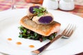 Crispy Seared Creemore Rainbow Trout Royalty Free Stock Photo