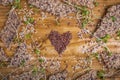 Crispy seed homemade bread decorated with microgreen sprouts with a heart shaped figure laid out from flax seeds on a wooden table Royalty Free Stock Photo