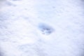 Snow with animal`s pawprint as background