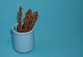 Crispy sticks with hazelnut sprinkles in chocolate on a blue background. Royalty Free Stock Photo