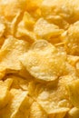 Crispy Thin Potato Chips