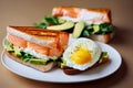 Crispy toast with avocado as sandwich with salmon and fried egg