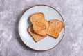 Crispy toasted toast bread in plate on gray background