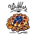 Crispy waffles with blueberries. delicious and mouth-watering confectionery. color vector illustration