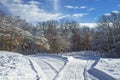 Criss crossing cross country ski trails