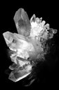 Cristal b/w Royalty Free Stock Photo