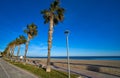 Cristall Cristal beach in Miami Platja