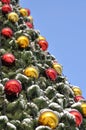 Cristmas balls and new year's fir tree Royalty Free Stock Photo