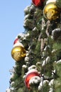 Cristmas balls and new year's fir tree Royalty Free Stock Photo