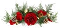 Cristmas Decoration Banner with Rose Flower and Rose Petals Panorama isolated on white Background