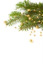 Cristmas seasonal background with spruce and beads