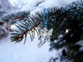 cristmas tree toy angel under the snow on a spruce branch Royalty Free Stock Photo