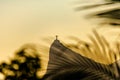 Rio de Janeiro, Brazil - CIRCA 2021: Panorama of Cristo Redentor Christ the Redeemer at sunset with orange sky Royalty Free Stock Photo