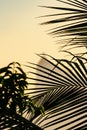 Rio de Janeiro, Brazil - CIRCA 2021: Panorama of Cristo Redentor Christ the Redeemer at sunset with orange sky Royalty Free Stock Photo