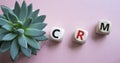 CRM - Customer relationship management symbol. Concept word CRM on wooden cubes. Beautiful pink background with succulent plant. Royalty Free Stock Photo