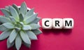 CRM - Customer relationship management symbol. Concept word CRM on wooden cubes. Beautiful red background with succulent plant. Royalty Free Stock Photo