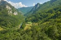 Crna gora. Canyon and Tara river Royalty Free Stock Photo