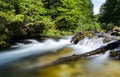 Crna rijeka Black RIver in Plitvice national park