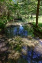 Crna spring in Logarska valley where the Savinja river originates Royalty Free Stock Photo