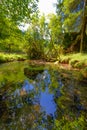 Crna spring in Logarska valley where the Savinja river originates Royalty Free Stock Photo