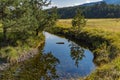 Crni Rzav river on Zlatibor mountain in Serbia