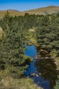 Crni Rzav river on Zlatibor mountain in Serbia