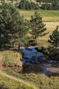 Crni Rzav river on Zlatibor mountain in Serbia