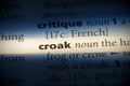 Croak Royalty Free Stock Photo