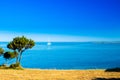 Croatia, beautiful Adriatic seascape horizon on Dogi Otok island Royalty Free Stock Photo