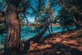 Croatia - beautiful Mediterranean coast landscape in Istria. Porec Adriatic Sea. Royalty Free Stock Photo