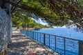 Croatia, Brela with adriatic sea and shadow of pines in summer. Dalmatia, Makarska Riviera