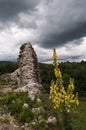 DreÃÂ¾nik, Stari Grad DreÃÂ¾nik, Croatia, Plitvice lakes area, castle, fortress, landscape, medieval, Europe, ruins, old ruin Royalty Free Stock Photo