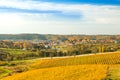 Croatia, Daruvar, beautiful colorful vineyards in autumn