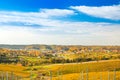 Croatia, Daruvar, beautiful colorful vineyards in autumn