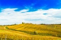 Croatia, Daruvar, beautiful colorful vineyards in autumn