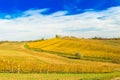 Croatia, Daruvar, beautiful colorful vineyards in autumn