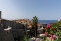 Croatia, Dubrovnik, old town landscape view with greenery and old city walls Royalty Free Stock Photo