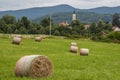 Croatia, haystacks, church, crop, wheat field, fields, agriculture, corn, green, environment, climate change, global warming Royalty Free Stock Photo