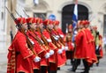 Croatia / Honor Guard Battalion / Guns And Bayonets Royalty Free Stock Photo